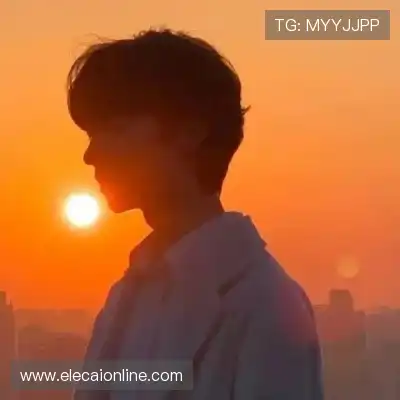苗赛想
